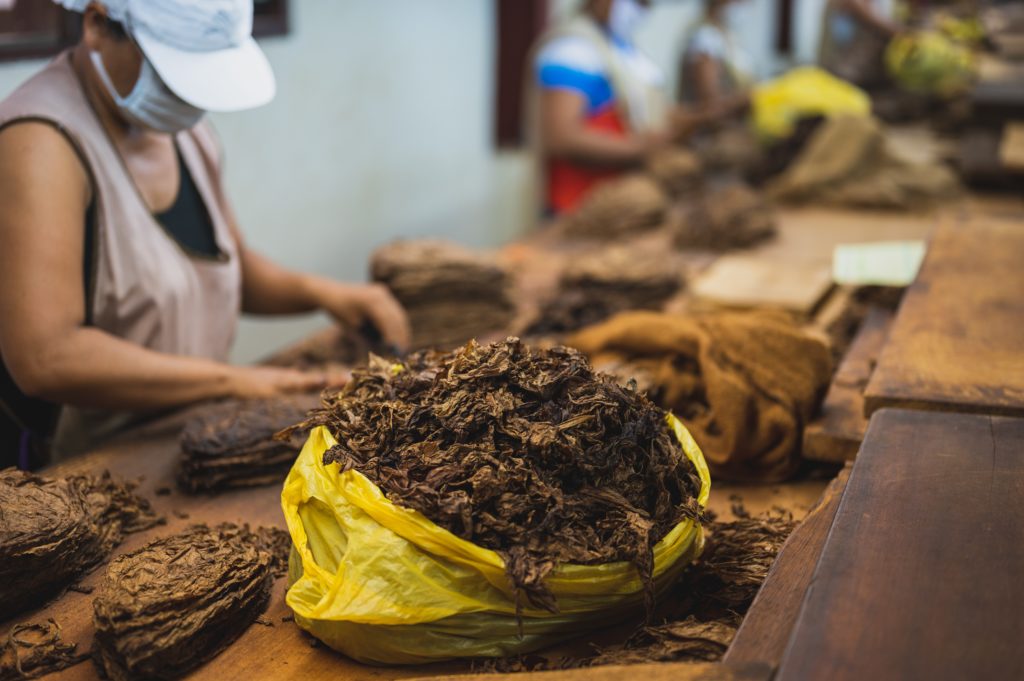 Aromi del tabacco riscaldato